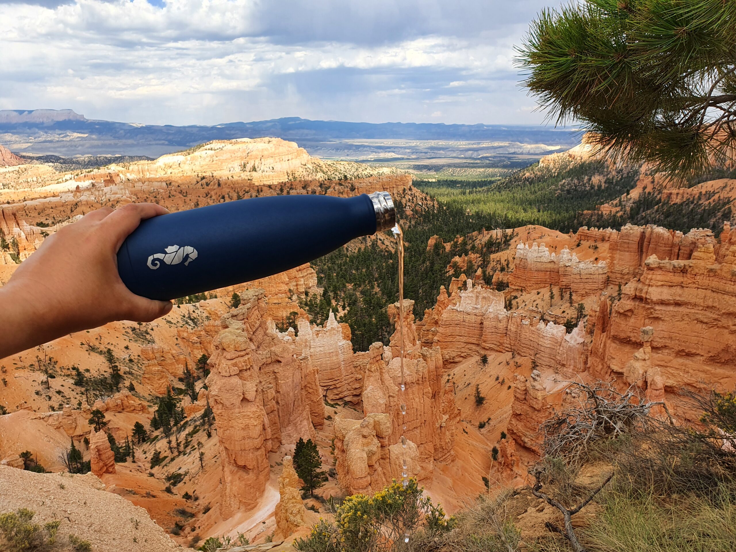 Notre gourde dans le désert américain de Bryce Canyon